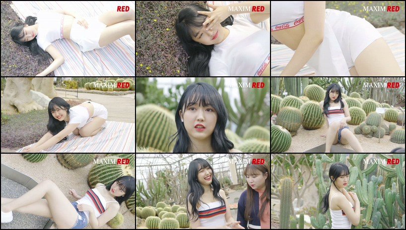 [ID108008]其它未整理、遗漏等合集【50合集 25.1 GB】