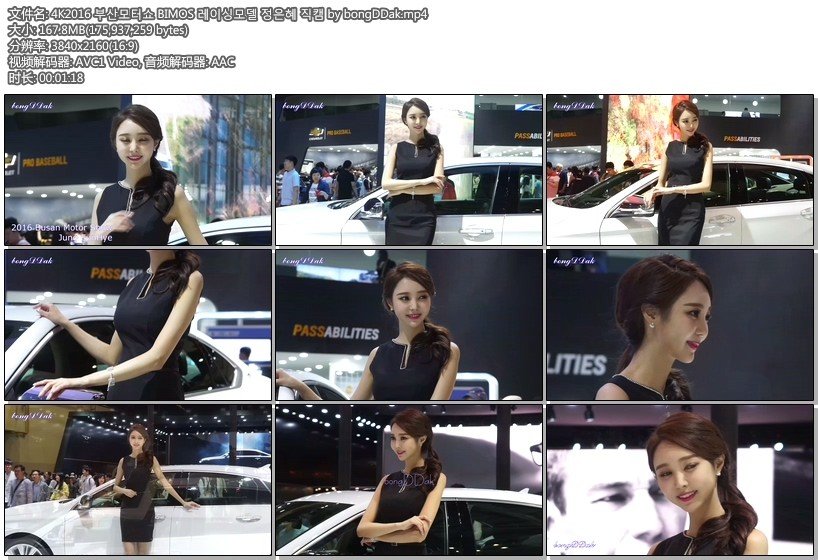 2016 BIMOS釜山国际车展 美女车模【27 合集 3.7 GB】车模饭拍秀