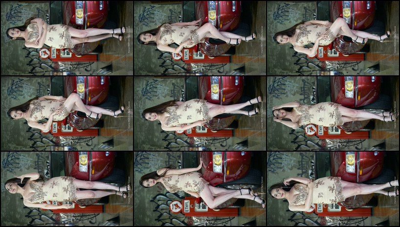 Show girl 饭拍秀 [ID110358 版本]【20合集 4.48 GB】